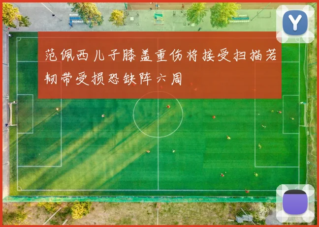 范佩西儿子膝盖重伤将接受扫描若韧带受损恐缺阵六周